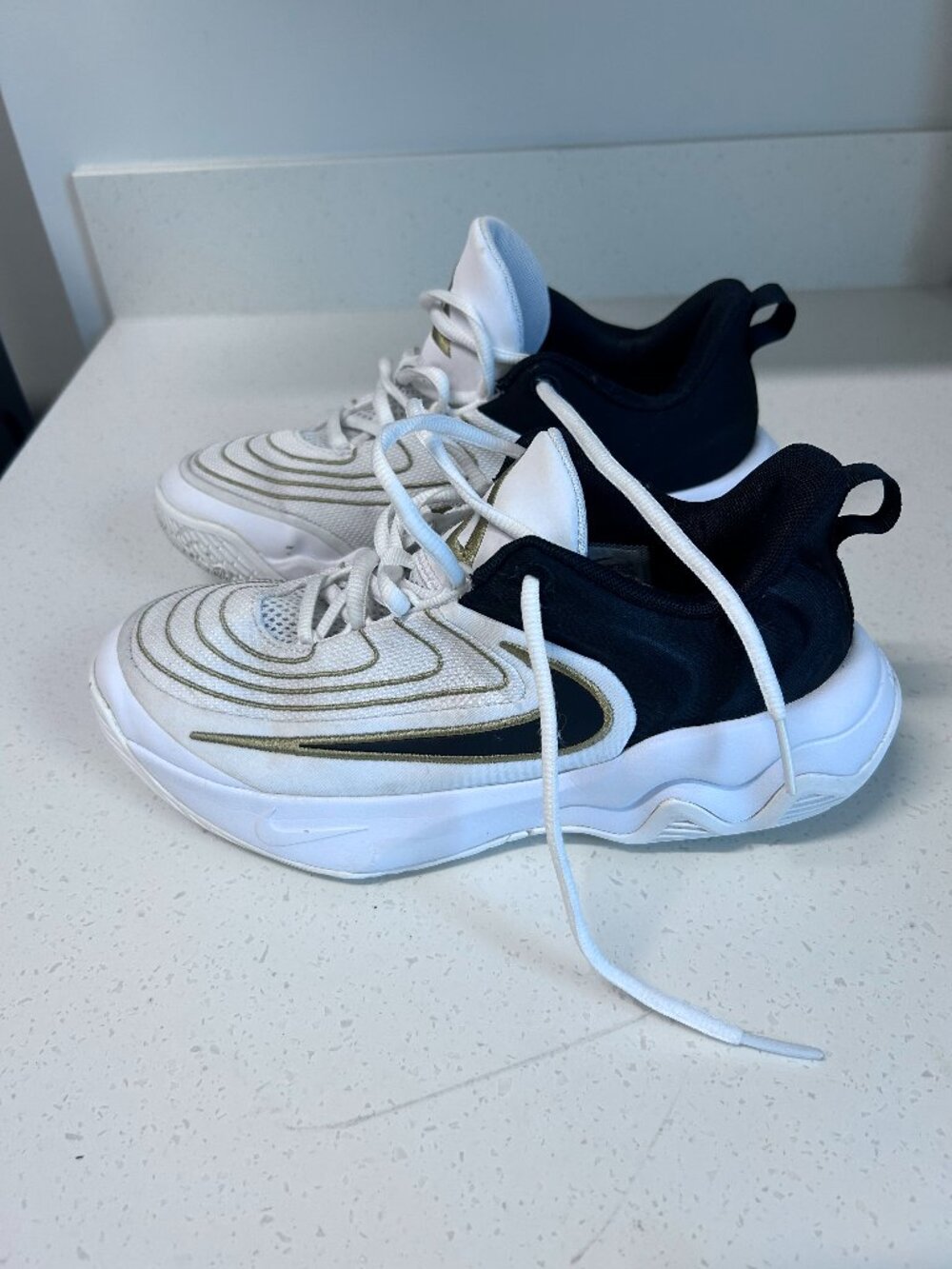 Nike Basketball shoes